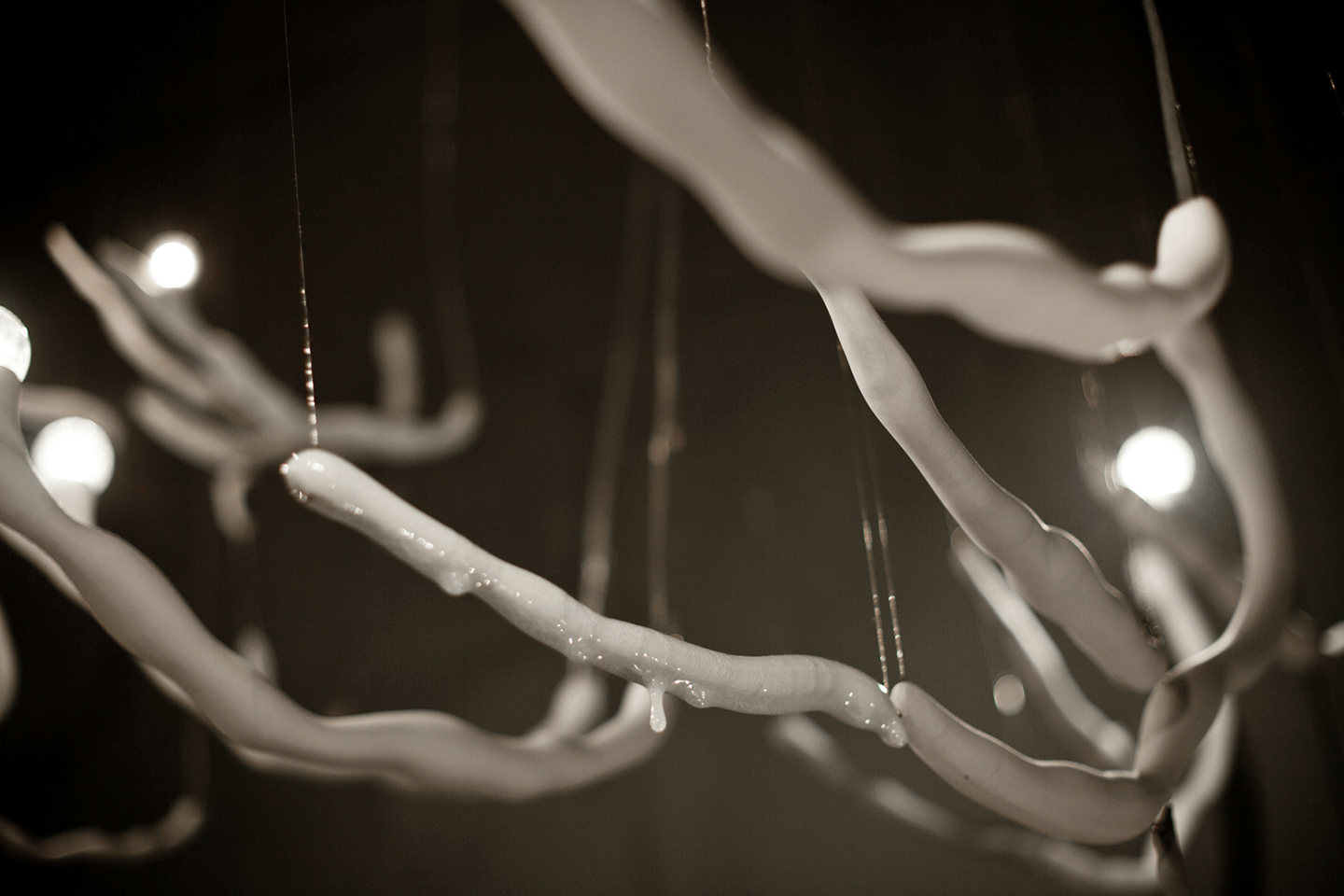 You Are The Palace, You Are The Forest - Jeanne Quinn 